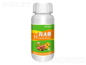 �n��-ʢ������