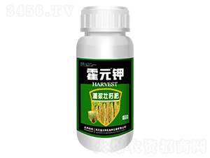 ��Ԫ⛹��{���ѷ�-ʢ������