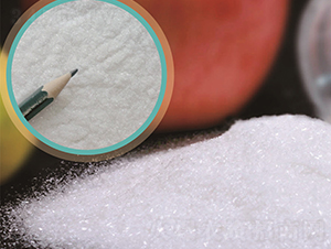 �����@��ĩ��������(j��)��-ʢ��ʘI(y��)