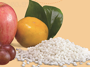 �w���������@-ʢ��ʘI(y��)