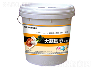 ����A�[���ø��-������