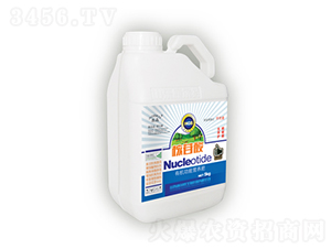 ������-������