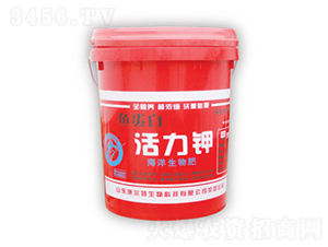 �~���׻����-������