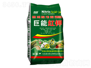 ���ܼt�-������