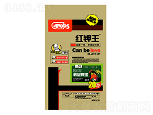 �t���-������