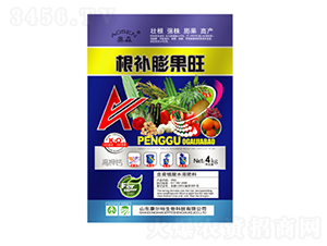 ���a(b��)�����-������