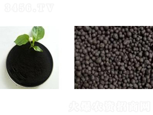 ��ֲ��-�����r(n��ng)�I(y��)