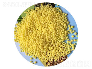 �r(n��ng)�I(y��)�������@�}�����V����-�����r(n��ng)�I(y��)