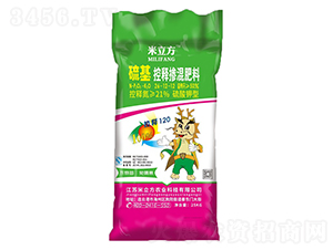 �����ጓ������26-12-12-������