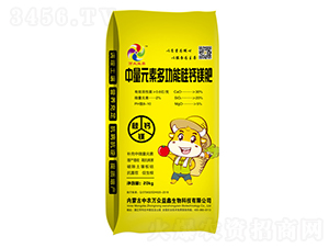 ����Ԫ�ض๦�ܹ��}�V��-�f������