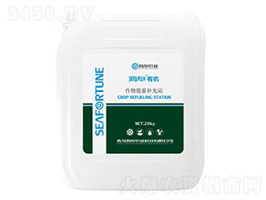 �����ЙC(j��)���������a(b��)��վ-�����r(n��ng)�I(y��)