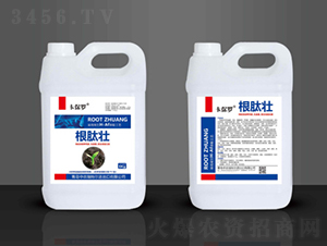 ���ĉ�-�����_-���r(n��ng)���ؠ�