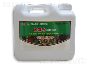 ���M�}΢�������-���M��΢