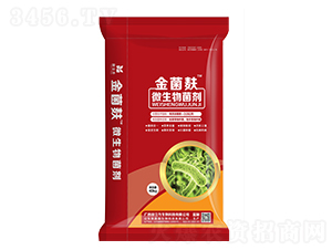 ΢�������-�����-������