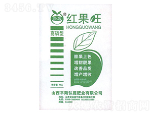 �����ͼt����-��������