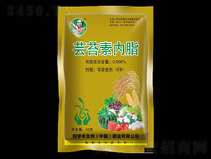 �|̦�؃�(n��i)֬-�ļ��S