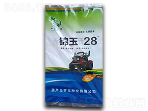 ���\����28-���׷N��-�п�����