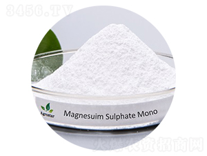 �����V�η�������-�۸�˼�_(d��)