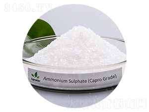 �����@���w-��(��i)��˼�_(d��)