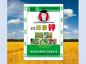 ���Ծ����-����