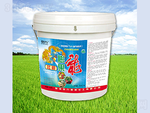 �����-����