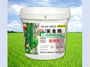 ���Ժڽ���-����