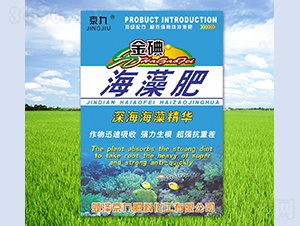 ��⺣���-����