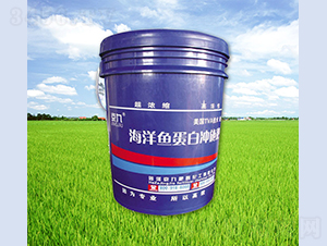 �����~���כ_ʩ��-����