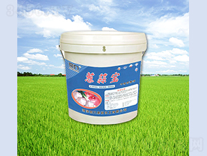 �[�⌚-����