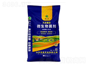 �󶹵���΢�������-���S��-���{(l��n)�r(n��ng)�I(y��)