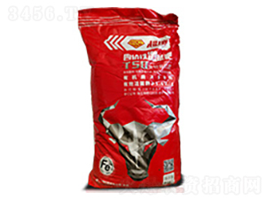 �����ăr�FT50-�S��