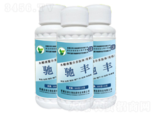 �󗗌�(zhu��n)���Y�S-ʥ�R����