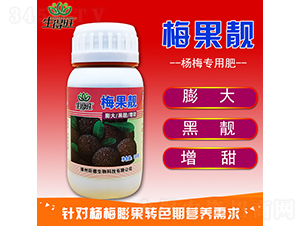 ÷���n-������-��������