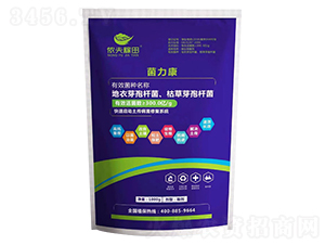 ������-�z�����-���z��