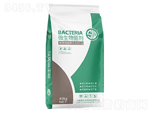 ΢�������-��������