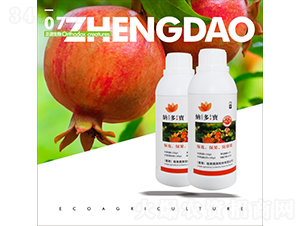 �{����-��������