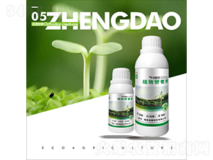 ֲ��I(y��ng)�B(y��ng)��-��������