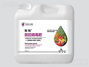 �ª�(d��)���ز�����-�t����