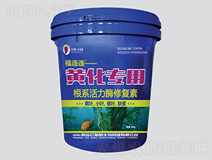 �S�����ø�ϵ����ø�ޏ�(f��)��-���B�B-�t����