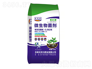 ΢�������-�r(n��ng)�d�ʘI(y��)