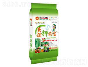 �����}��-ʢ������