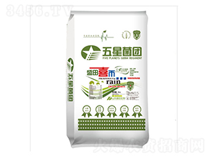 ���Ǿ��F(tu��n)-ʢ������