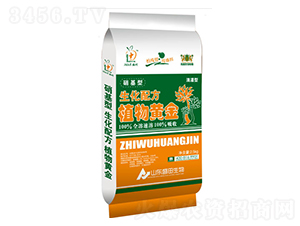 �����䷽ֲ���S��-ʢ������