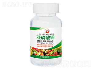 �������-ʢ������