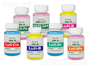 ���w΢��-ʢ������