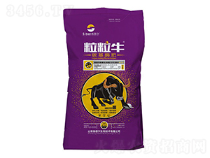 25kg̼��ø��-����ţ-ʩ����