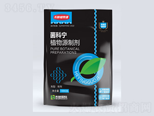 ֲ��Դ�Ƅ�-���ƌ�-�̷f����