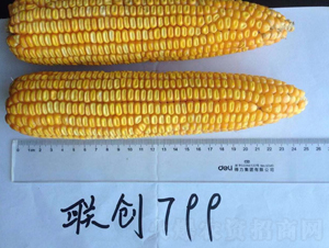 (li��n)��(chu��ng)799-���׷N��-����N�I(y��)