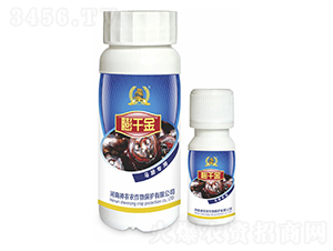 �R�㌣���~���-��ǧ��