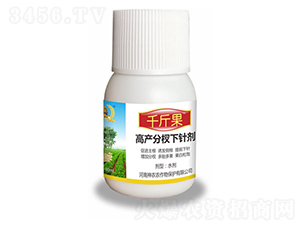 ������辄�-ǧ���-�������r(n��ng)